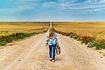 Logo Walk & Talk - Trauerspaziergang in Landau