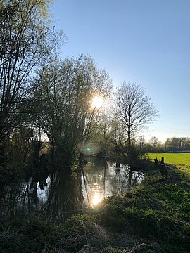 Banner Hospizbüro Landau geöffnet - neue Adresse Oberer Stadtplatz 16