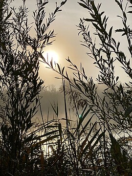 Banner Offenes Angebot für Trauernde