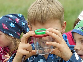 Banner „Die Wiese lebt! – Insekten & Kräuter im Spätsommer entdecken“