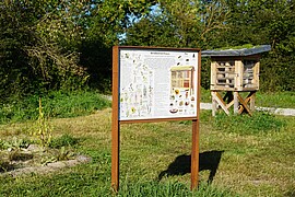 Banner Blick ins Wildbienenhaus - Offene Fragestunde