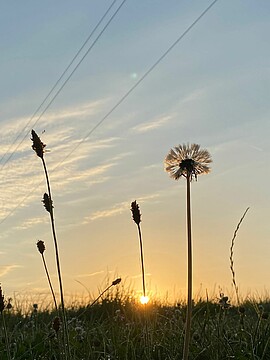 Banner Lichtpunkt in der Spitalkirche / Landau a.d. Isar